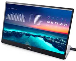 Dell P1424H